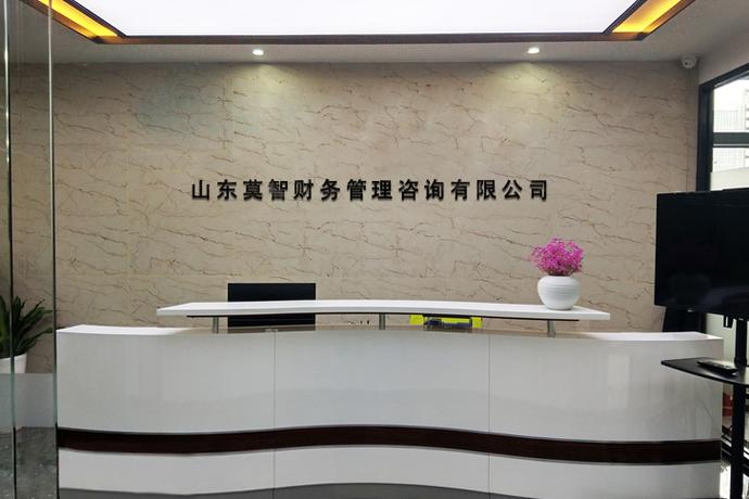 山东莫智财务管理咨询